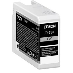 Epson Tinte T46, Inhalt 26ml, für SC-P700, Refill nein, grau